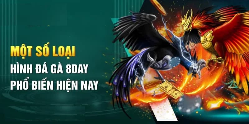 Sảnh đá gà tại nhà cái 8Day 